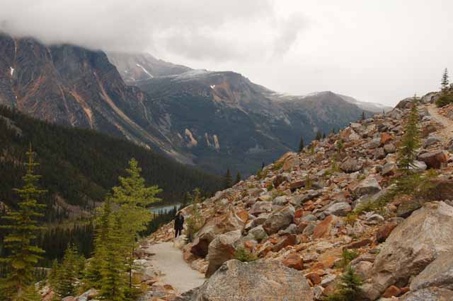 Mt. Edith Cavell